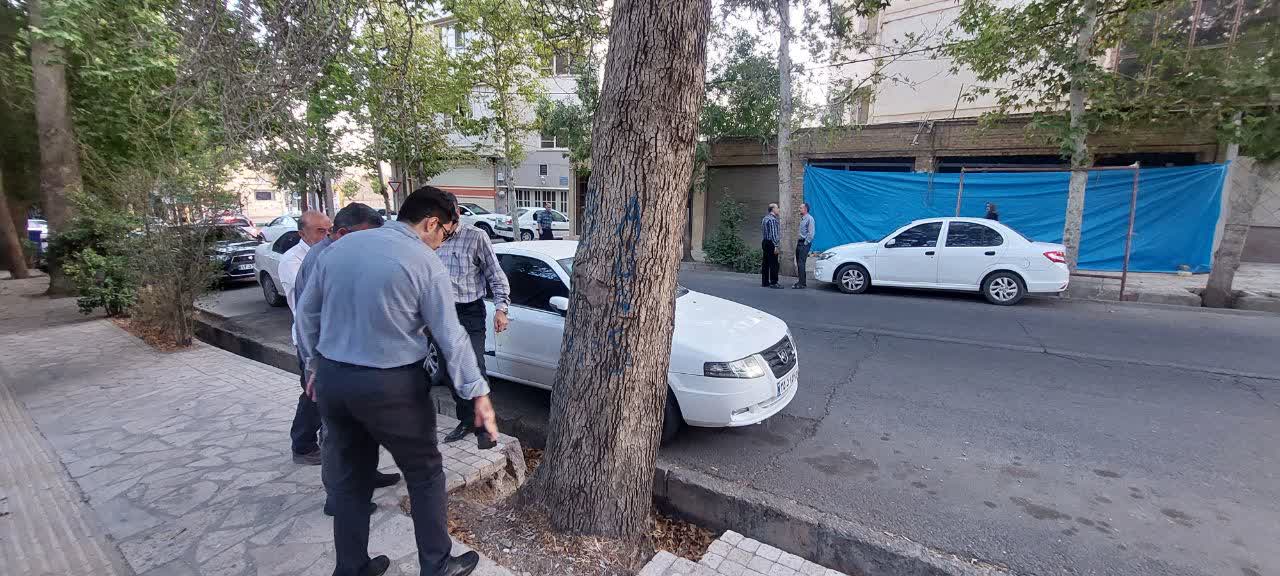 بازدید میدانی شهردار و شورای اسلامی شهر از فضای سبز شهری بازدید میدانی شهردار و شورای اسلامی شهر از فضای سبز شهری