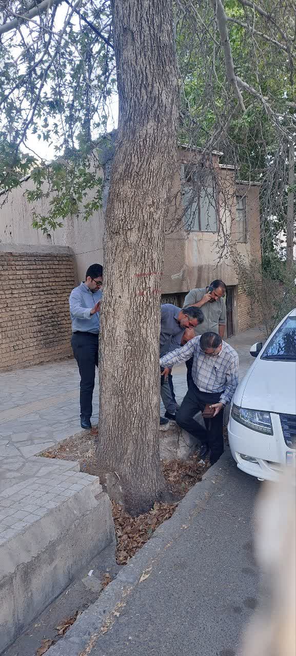 بازدید میدانی شهردار و شورای اسلامی شهر از فضای سبز شهری بازدید میدانی شهردار و شورای اسلامی شهر از فضای سبز شهری