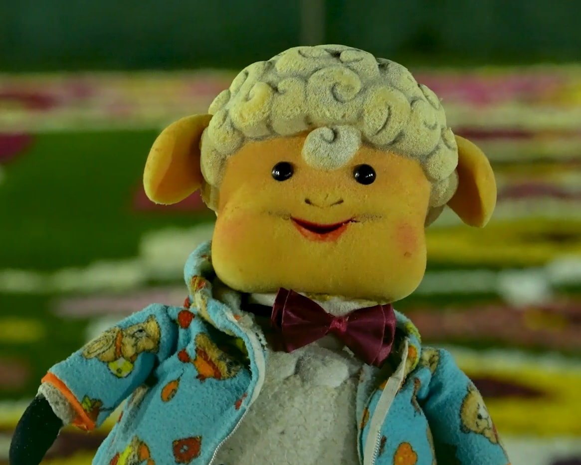 مل مل در کنار بزرگترین فرش سر گل آسیا در شهر محلات حضور یافت